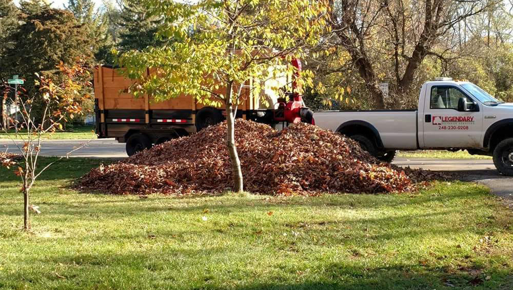 Fall Landscape Cleanup